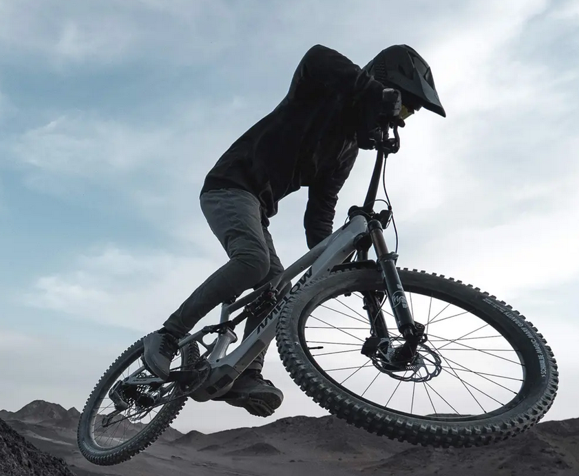 VELO ELECTRIQUE Amflow PX Carbon Pro - L 2026. M2S