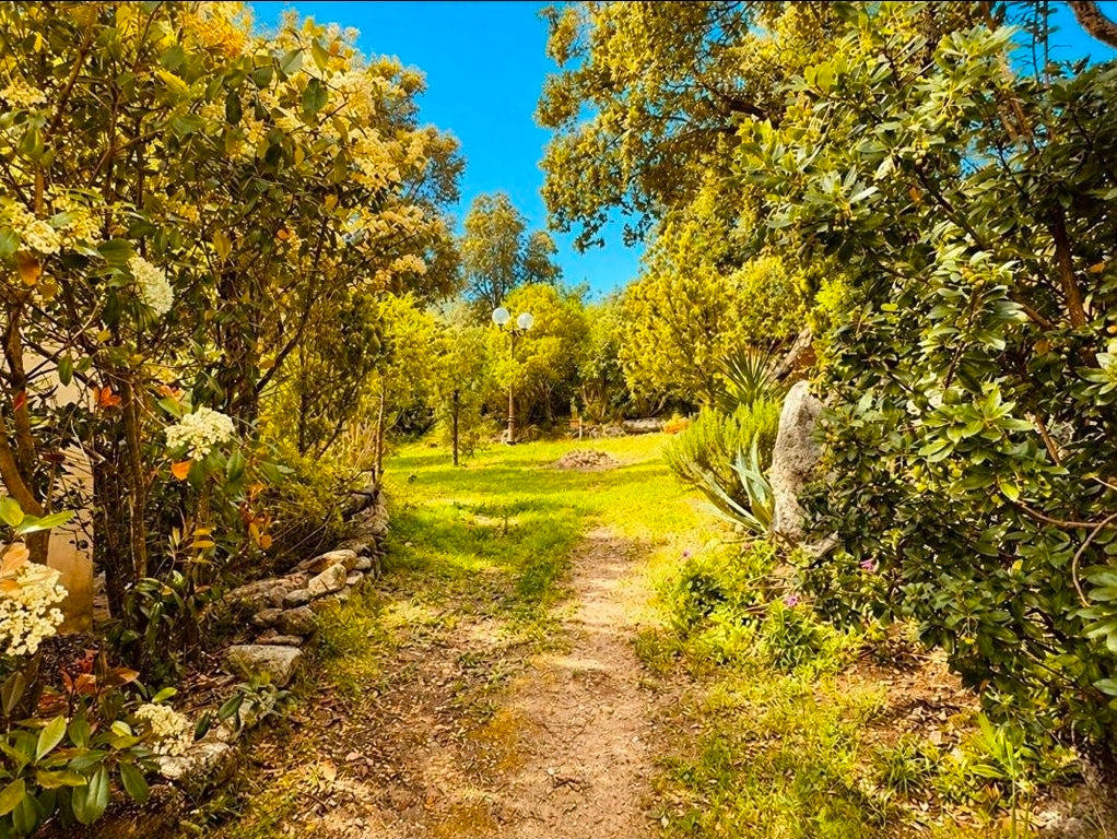 ☀️ CASA DI SOGNO : VOTRE PARADIS CORSE À 10 MINUTES DE PORTO-VECCHIO