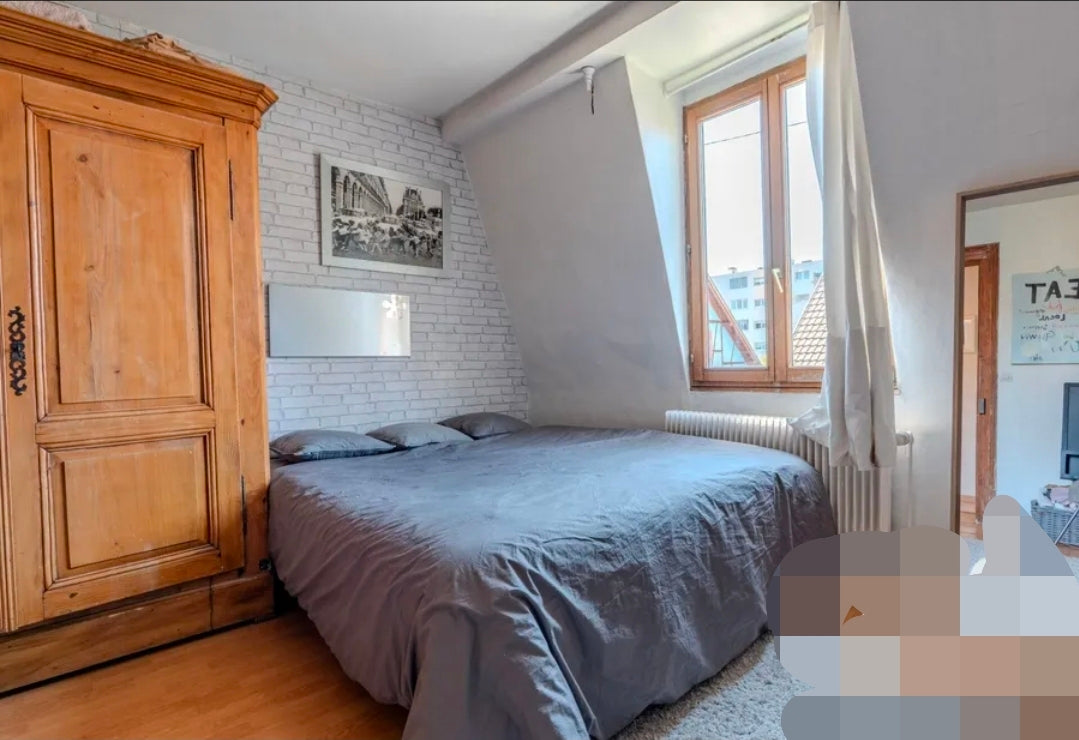 Villa Secret Garden Strasbourg – Demeure de Maître de 6 Chambres avec Piscine Privée