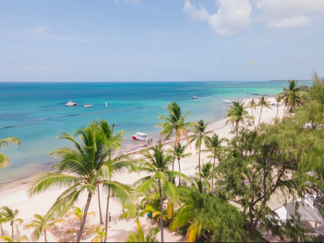 Penthouse Royal Turquoise – Duplex de Luxe de 3 Chambres, Piscine Privée sur le Toit et Accès Direct à la Plage | Punta Cana, Bávaro