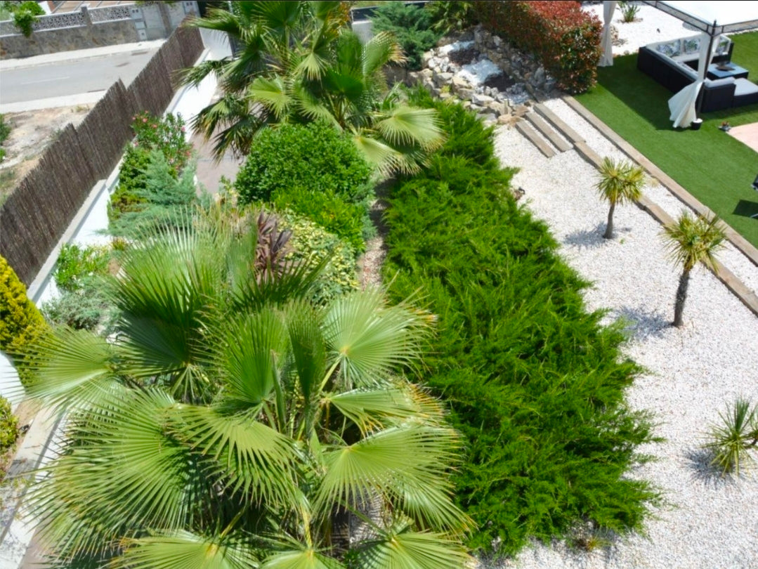 Villa Palm Oasis – Charme Méditerranéen de 4 Chambres avec Piscine Privée | Sant Pere de Ribes