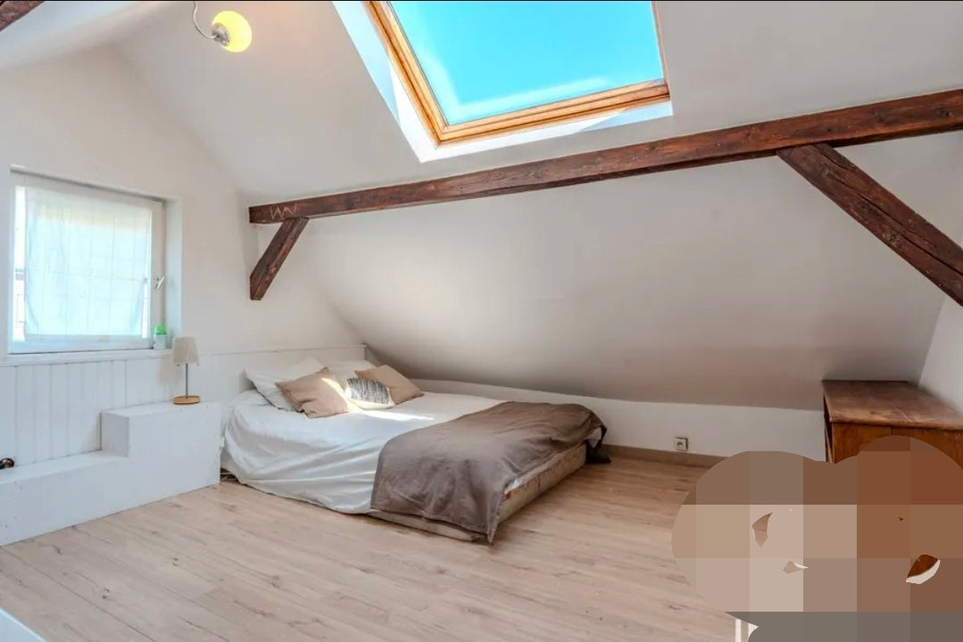 Villa Secret Garden Strasbourg – Demeure de Maître de 6 Chambres avec Piscine Privée