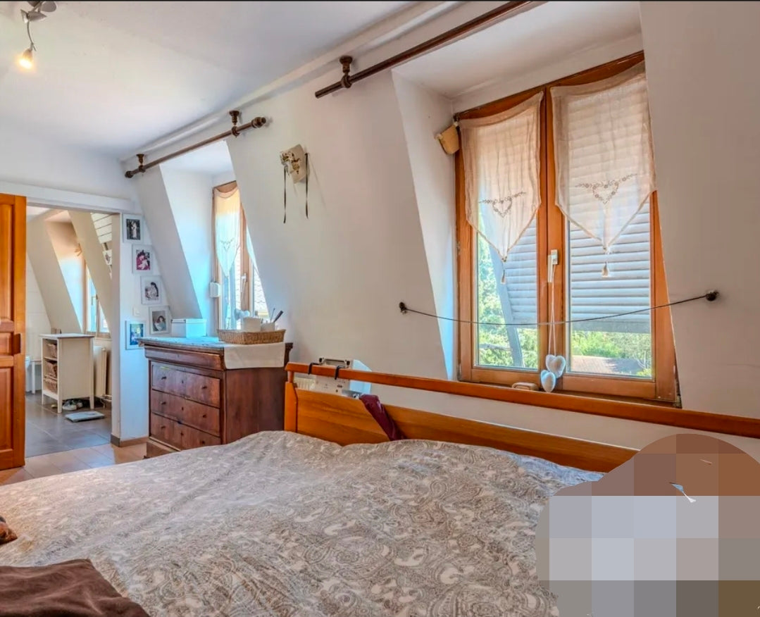 Villa Secret Garden Strasbourg – Demeure de Maître de 6 Chambres avec Piscine Privée